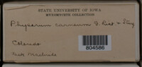 Image Associated With the Occurence